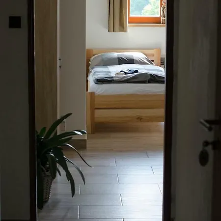 U Valasskych Ponozek Guest house *